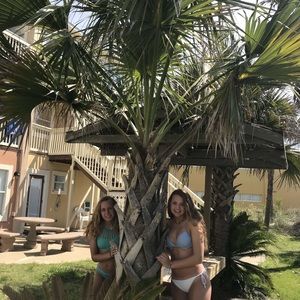 Meet your Posher, Kendall